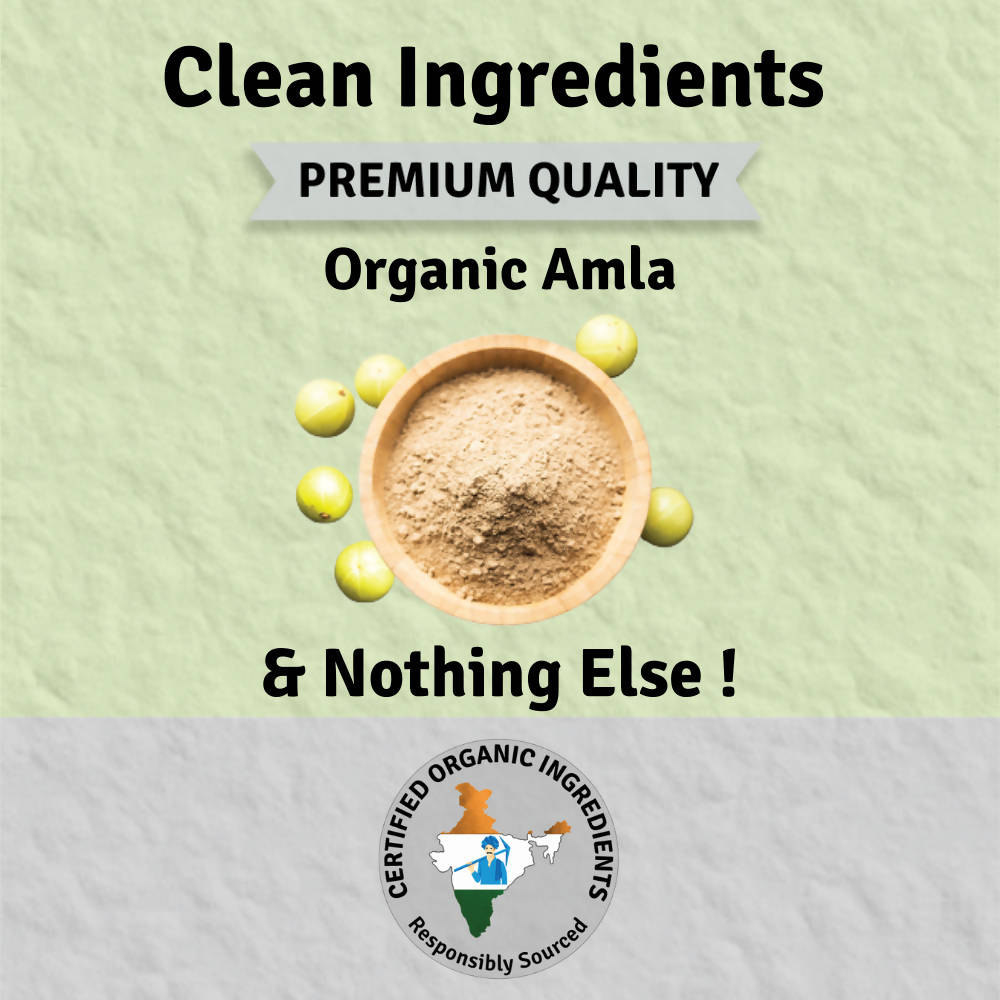 Jus Amazin Amla Powder Superfood | Swadesiicart