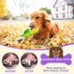 Sage Square Durable Interactive Dog Squeaky Crocodile Toy (Random Color) - Swadesiicart