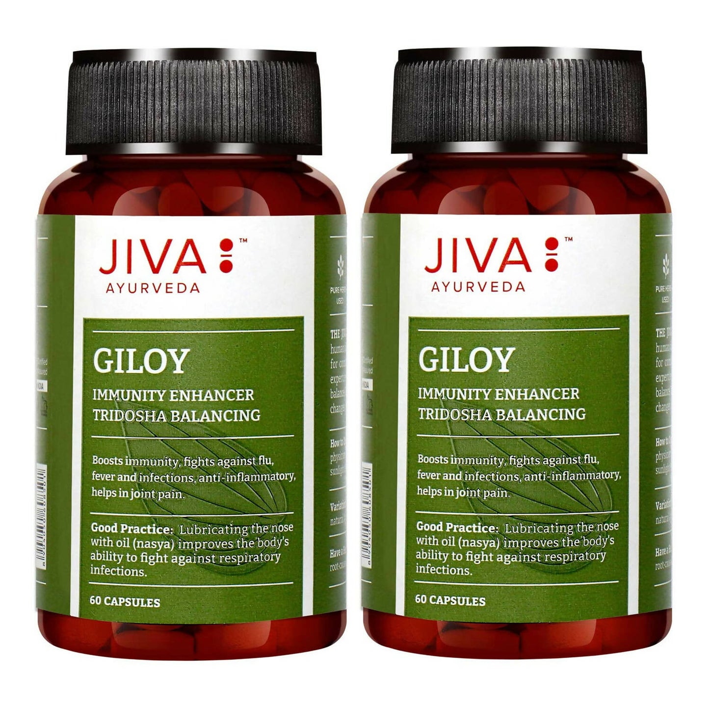 Jiva Ayurveda Giloy Capsules - Swadesiicart
