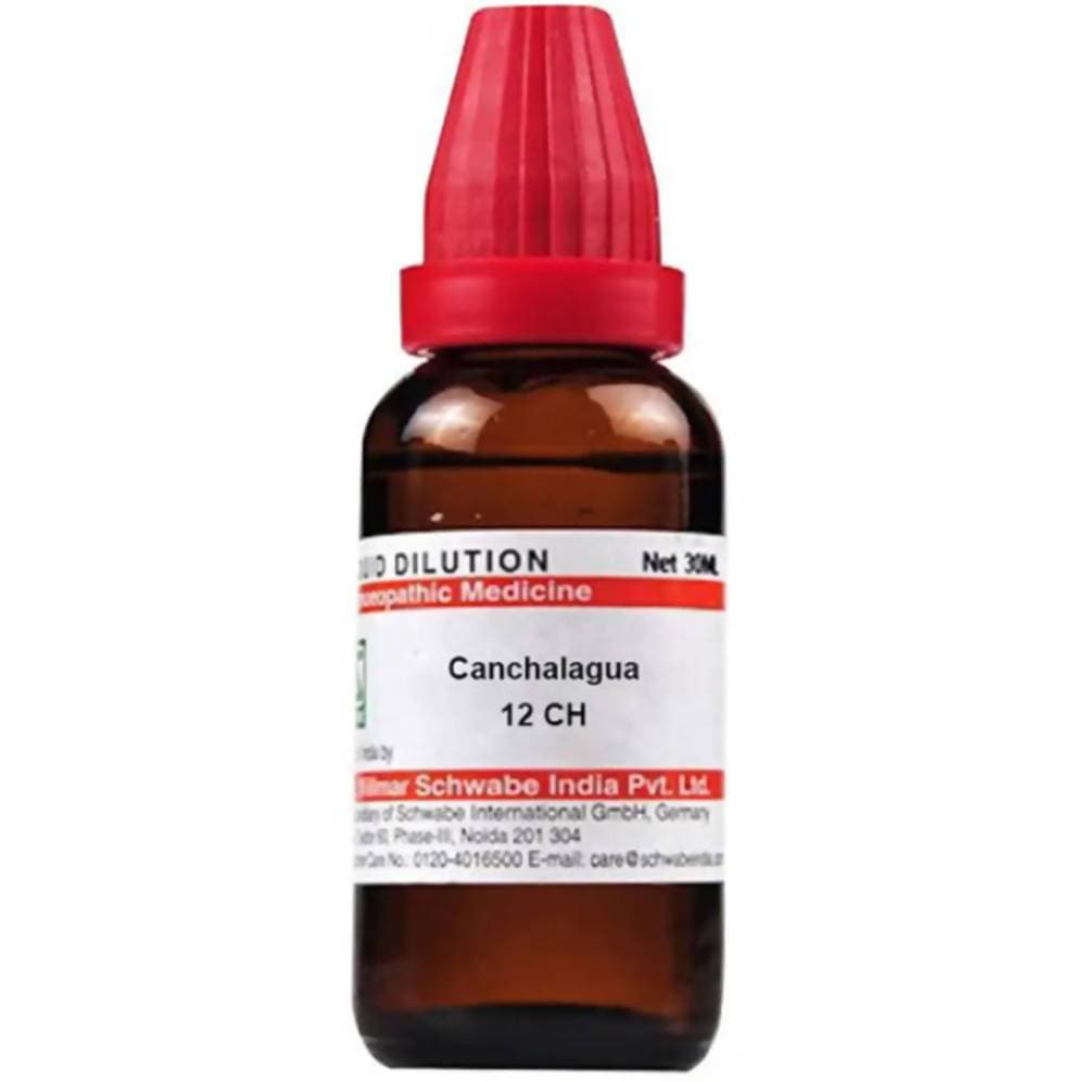 Dr. Willmar Schwabe India Canchalagua Dilution | Swadesiicart