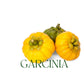 Oilcure Garcinia Cambogia Powder