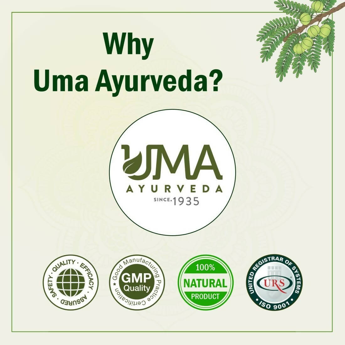 Uma Ayurveda Umadizest Gastric Medicine Ayurvedic Tablets | Swadesiicart