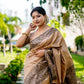 Vishnu Weaves Women's Chiku Handloom Raw Silk Woven Border Saree with Unstitched Blouse - Swadesiicart
