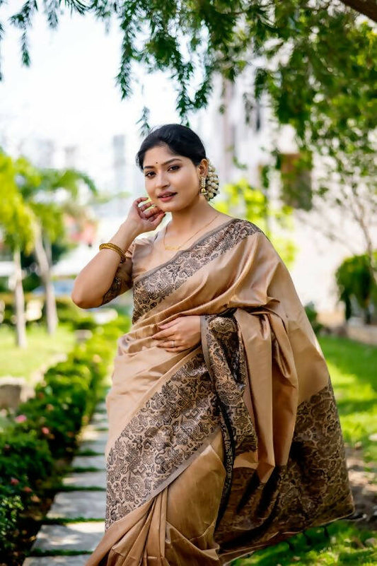 Vishnu Weaves Women's Chiku Handloom Raw Silk Woven Border Saree with Unstitched Blouse - Swadesiicart