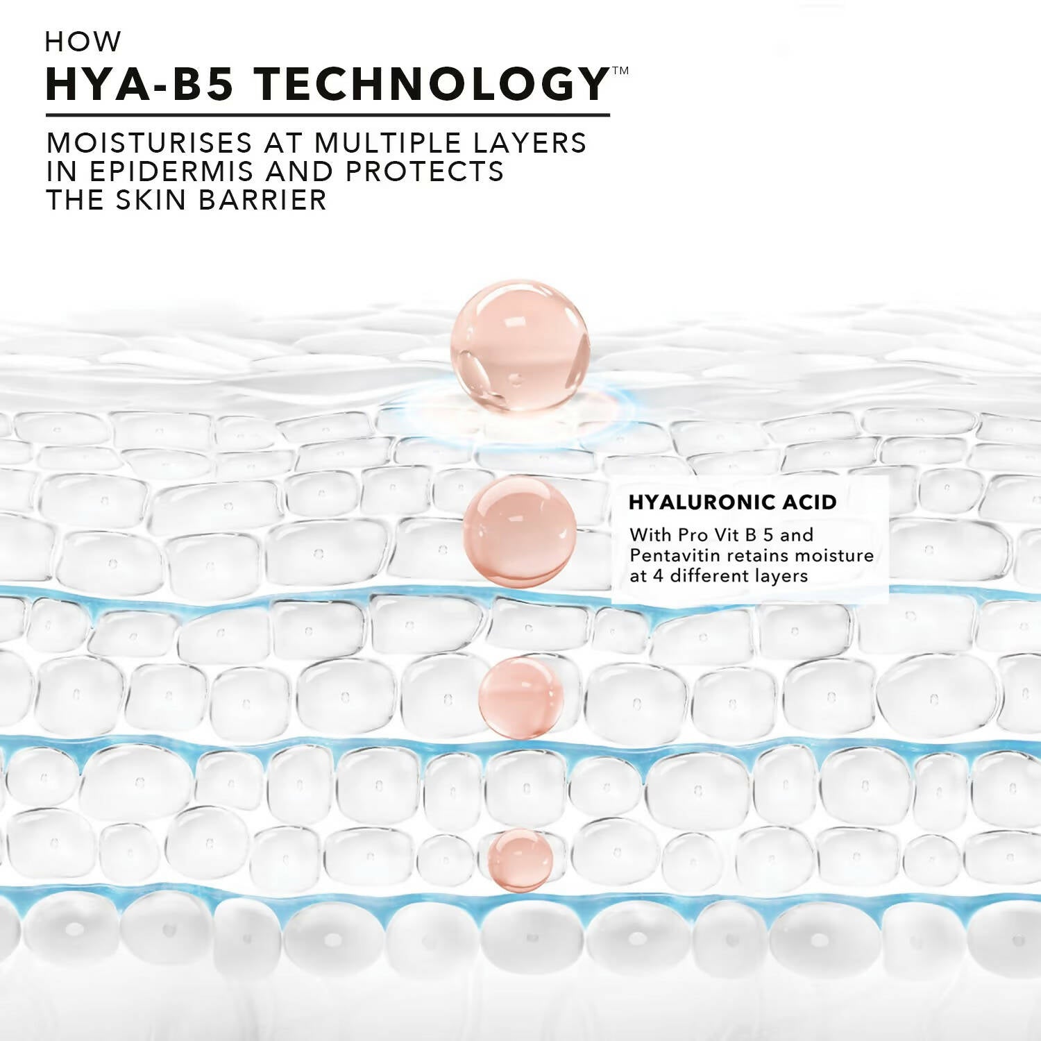Novology Hyaluronic Acid Skin Barrier Protect Serum - Swadesiicart
