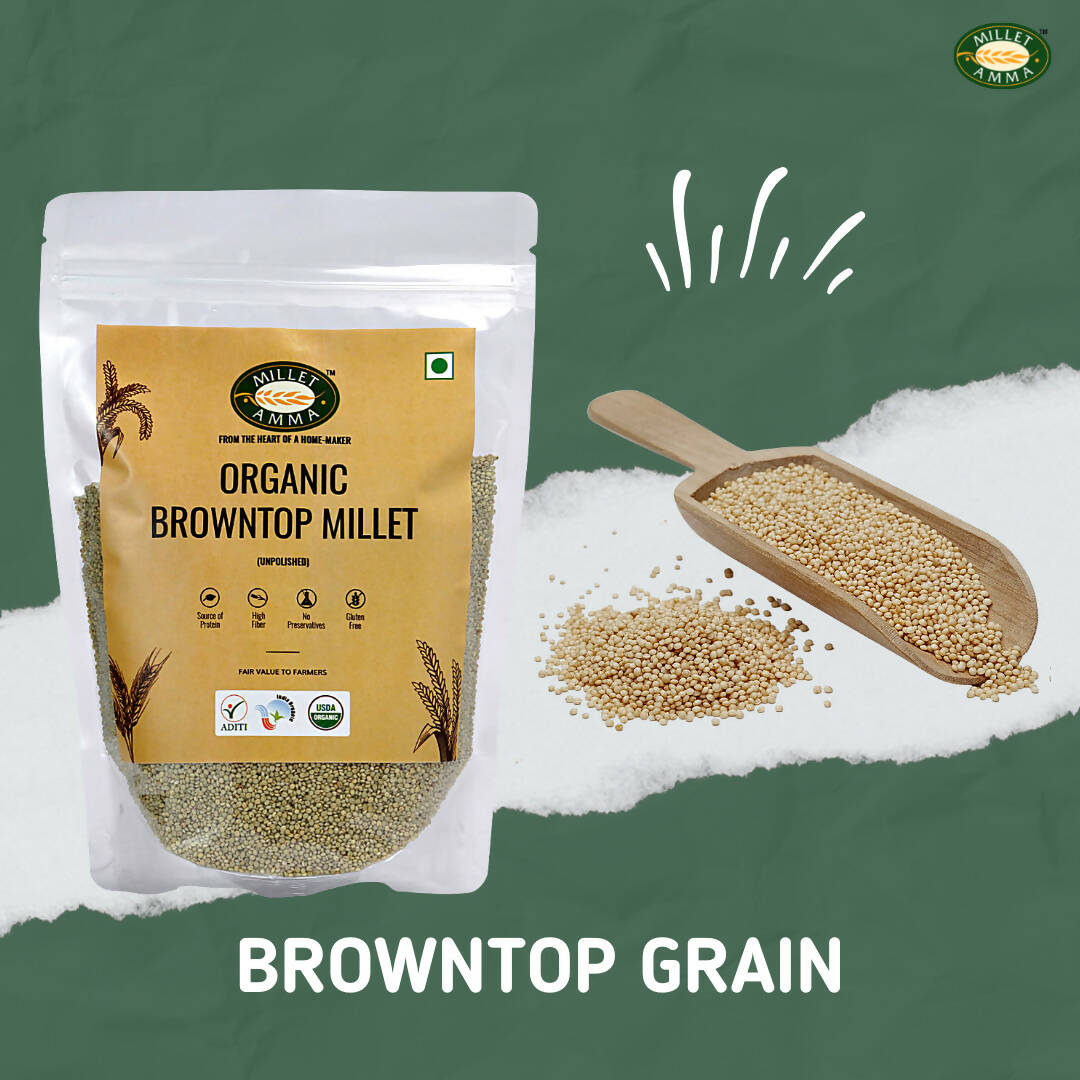 Millet Amma Organic Browntop Millet Grains - Swadesiicart