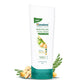 Himalaya Herbals Gentle Daily Care Protein Conditioner