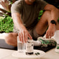 Evolution Botanicals | Himalayan Shilajit | 120  Capsules
