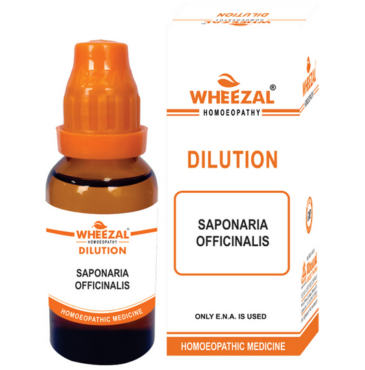 Wheezal Homeopathy Saponaria Officinalis Dilution | Swadesiicart