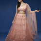 House of Panchhi Peach Net Sequinse Work Lehenga & Blouse, Dupatta | Swadesiicart