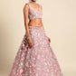 House of Panchhi Pink Net Sequins, Mirror and thread embroidery Lehenga choli & Dupatta | Swadesiicart