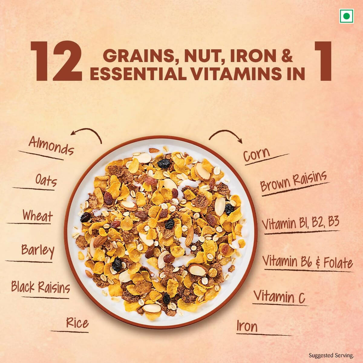 Kellogg's Muesli Nuts Delight - Swadesiicart