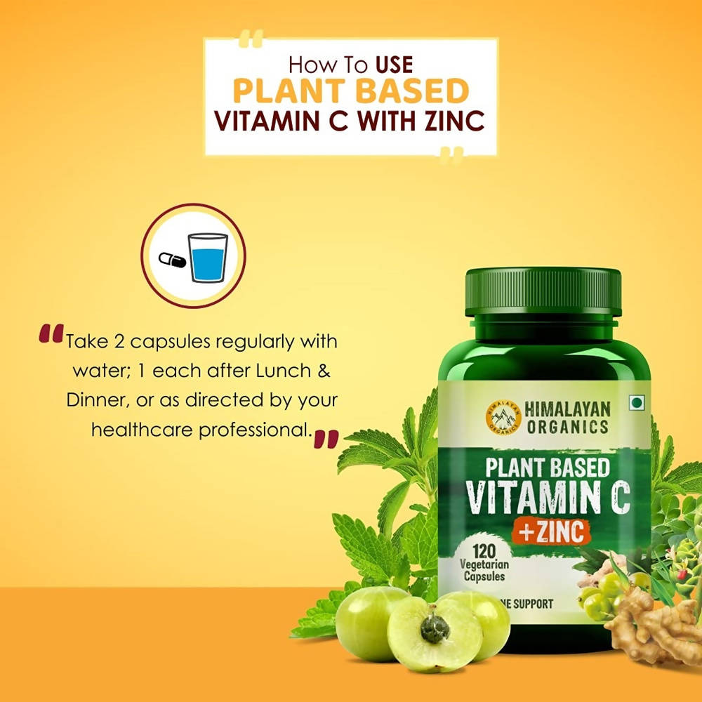 Himalayan Organics Plant Based Vitamin C + Zinc Double Immune Support Vegetarian Capsules | Swadesiicart