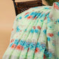 Pastel Green and Blue Digital Prin Semi Chanderi Saree By Gayathri Reddy Designer Studio | Swadesiicart