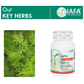 Iafa Ayuveda Shatavari Veg Capsules | Swadesiicart