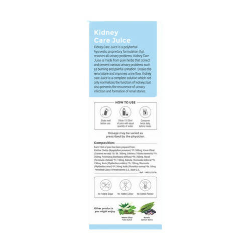 Four Seasons Kidney Care Juice - Swadesiicart
