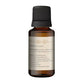 Korus Essential Ginger Essential Oil - Therapeutic Grade - Swadesiicart