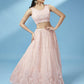 House of Panchhi Peach Net Gotapatti Work Lehenga & Blouse, Dupatta | Swadesiicart