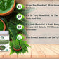 Ayurvedashree Neem Leaf Powder - Swadesiicart