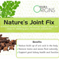 Ayura Origins Nature's Joint Fix Powder - Swadesiicart