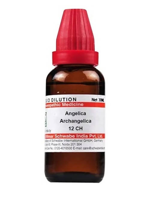 Dr. Willmar Schwabe India Angelica Archangelica Dilution | Swadesiicart
