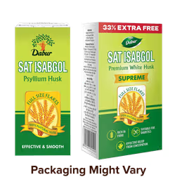 Dabur Sat Isabgol | Swadesiicart