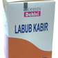 Dehlvi Labub Kabir