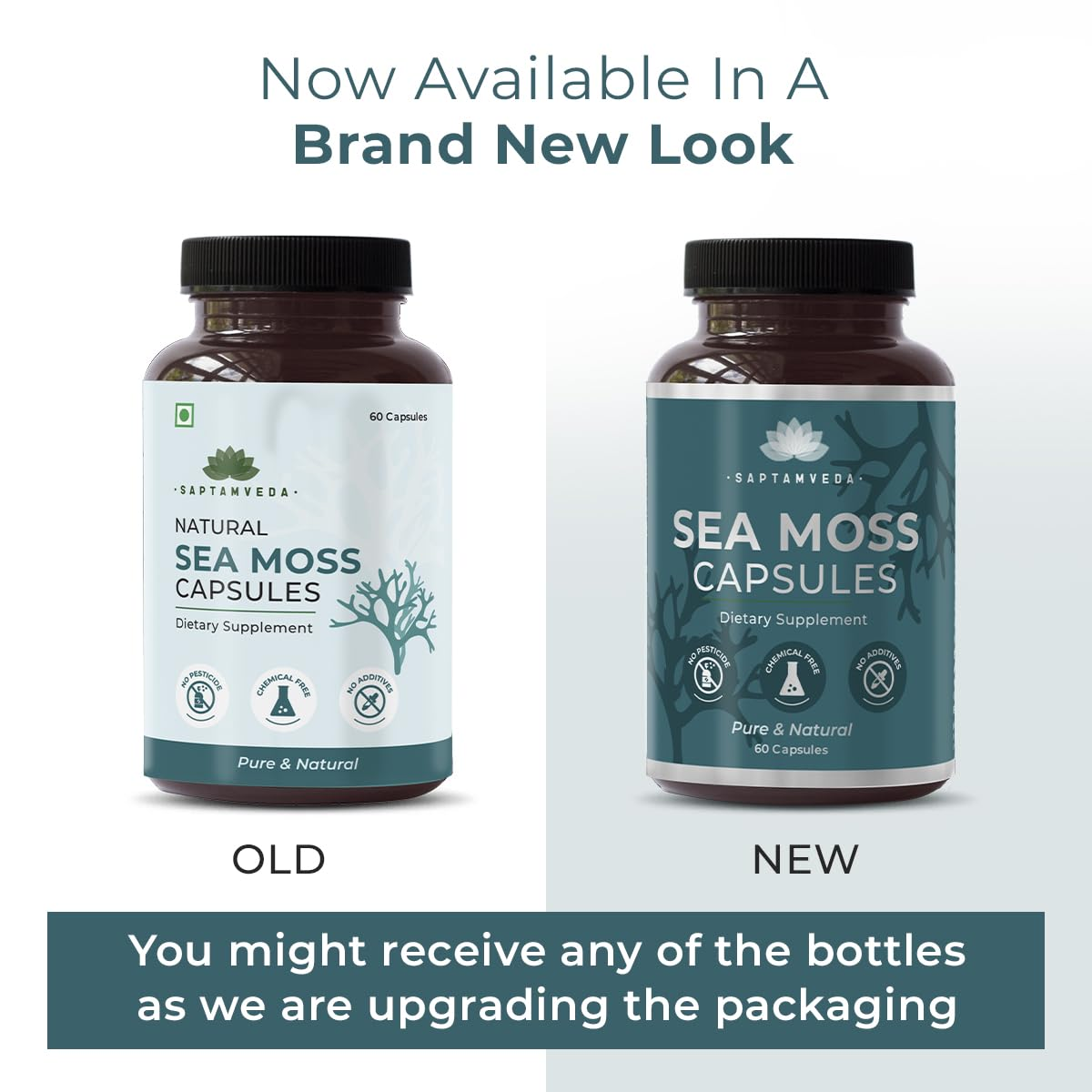 Saptamveda Irish Sea Moss 500mg Capsules - Swadesiicart