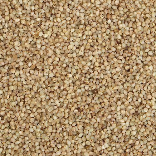 Organic Little Millet - Swadesiicart