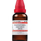 Dr. Willmar Schwabe India Arsenicum Sulphuratum Rubrum Dilution | Swadesiicart