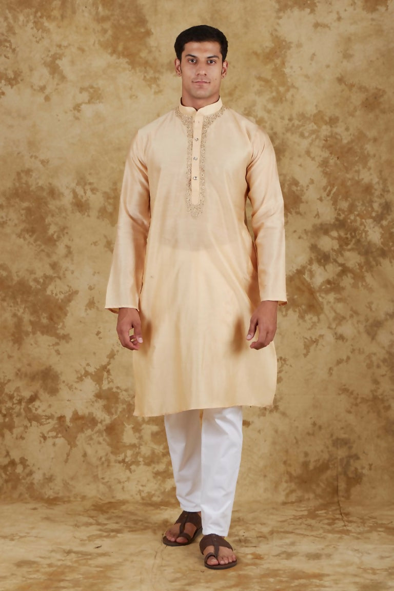 Bluesaanchi Men's Chandery Silk Light Khaki Embroidered Kurta Set | Swadesiicart