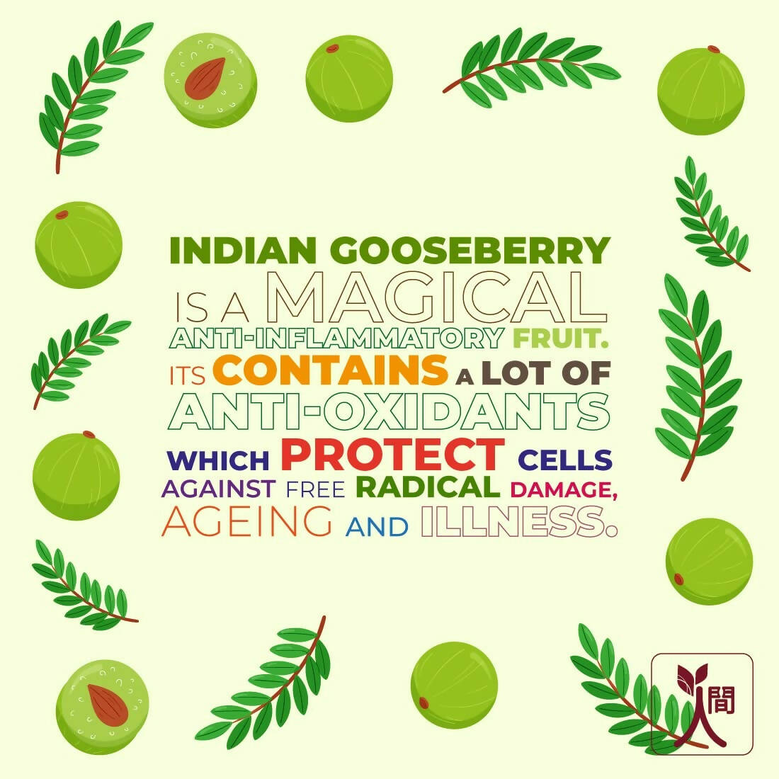 Ningen Gooseberry Hair Oil - Swadesiicart