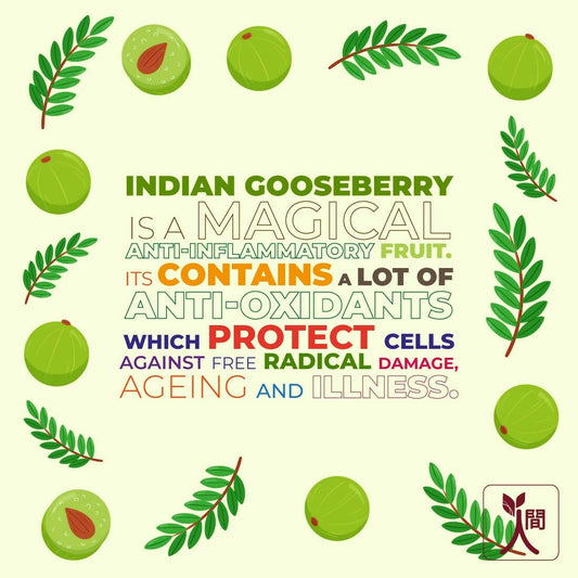 Ningen Gooseberry Hair Oil - Swadesiicart