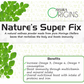 Ayura Origins Nature's Super Fix Powder - Swadesiicart