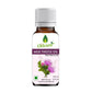 Oilcure Milk Thistle Oil - Oilcure Health & Beauty