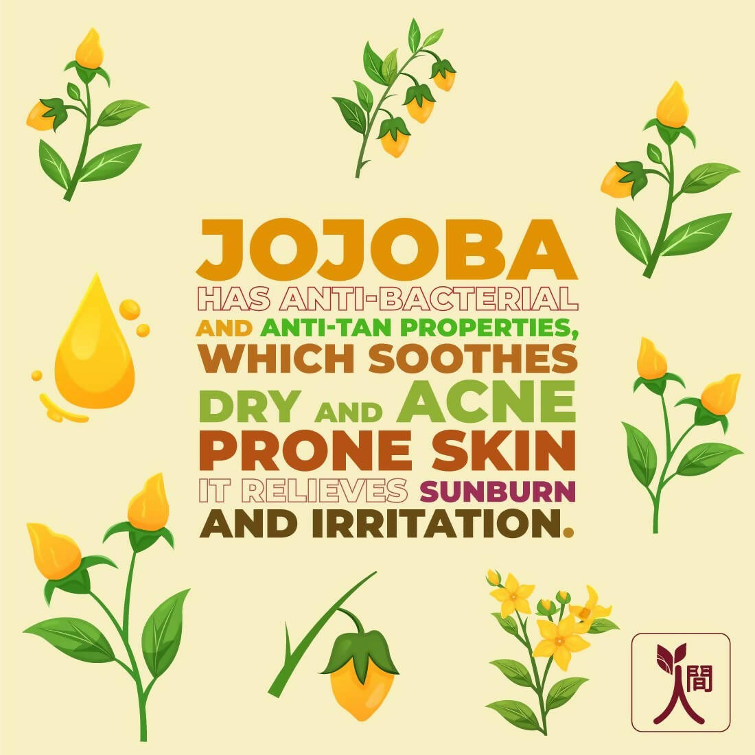 Ningen Jojoba Face Wash - Swadesiicart