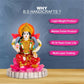 BS Handicrafts Stone Lakshmi Devi Idol - Swadesiicart