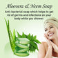 Prakriti Herbal Soap Aloevera and Neem - Swadesiicart