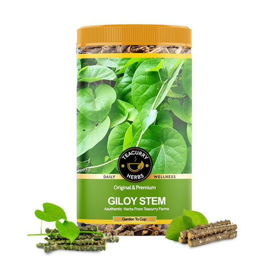 Teacurry Organic Giloy Sticks - Teacurry