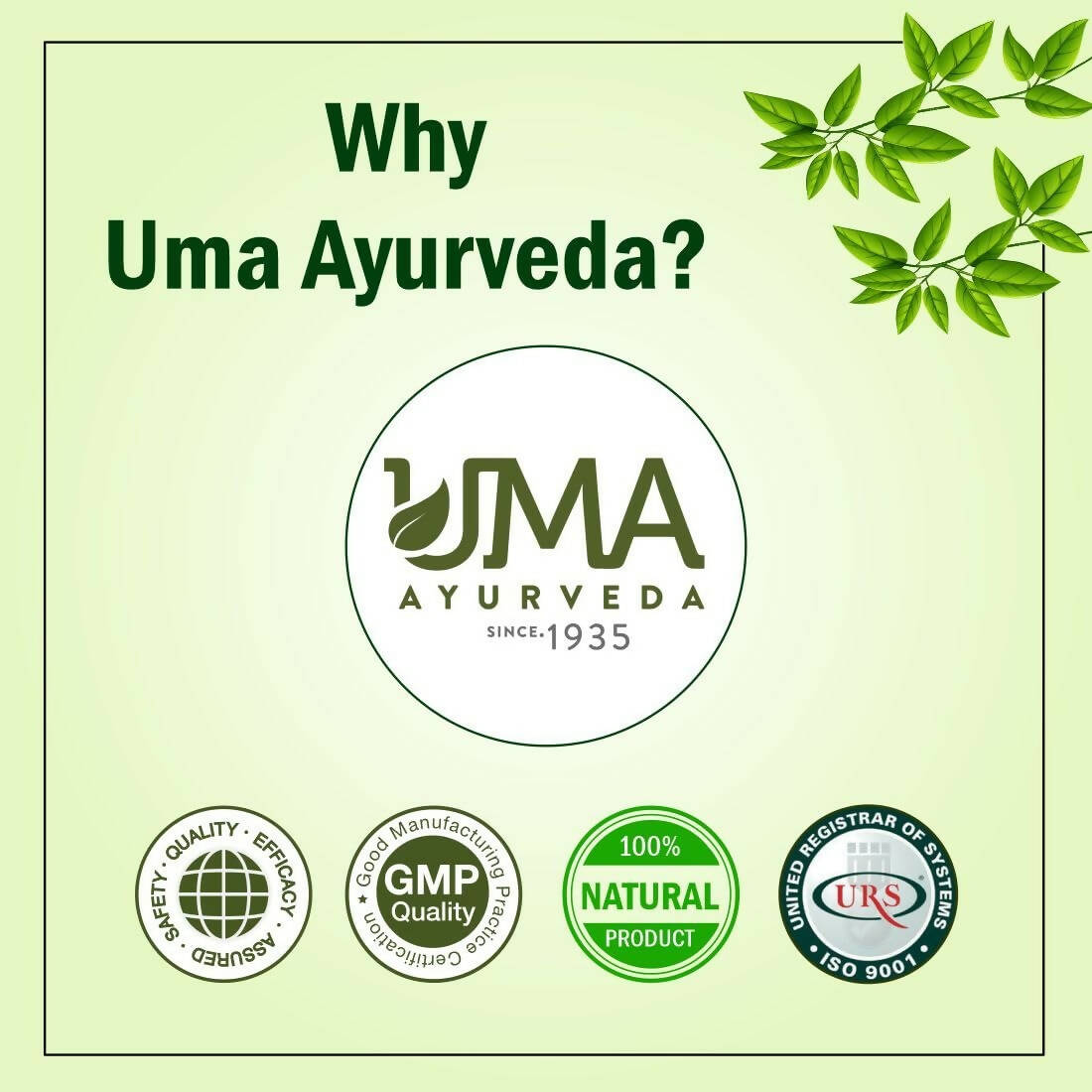 Uma Ayurveda Madhuvinashini Tablets - Swadesiicart