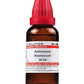 Dr. Willmar Schwabe India Antimonium Arsenicicum Dilution | Swadesiicart
