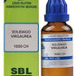 SBL Homeopathy Solidago Virgaurea Dilution | Swadesiicart