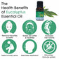 Soulflower Aromatherapy Pure Eucalyptus Essential Oil - Limited Time Offer - Swadesiicart