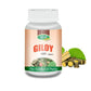Swadeshi Giloy Vati (Tablet) | Swadesiicart
