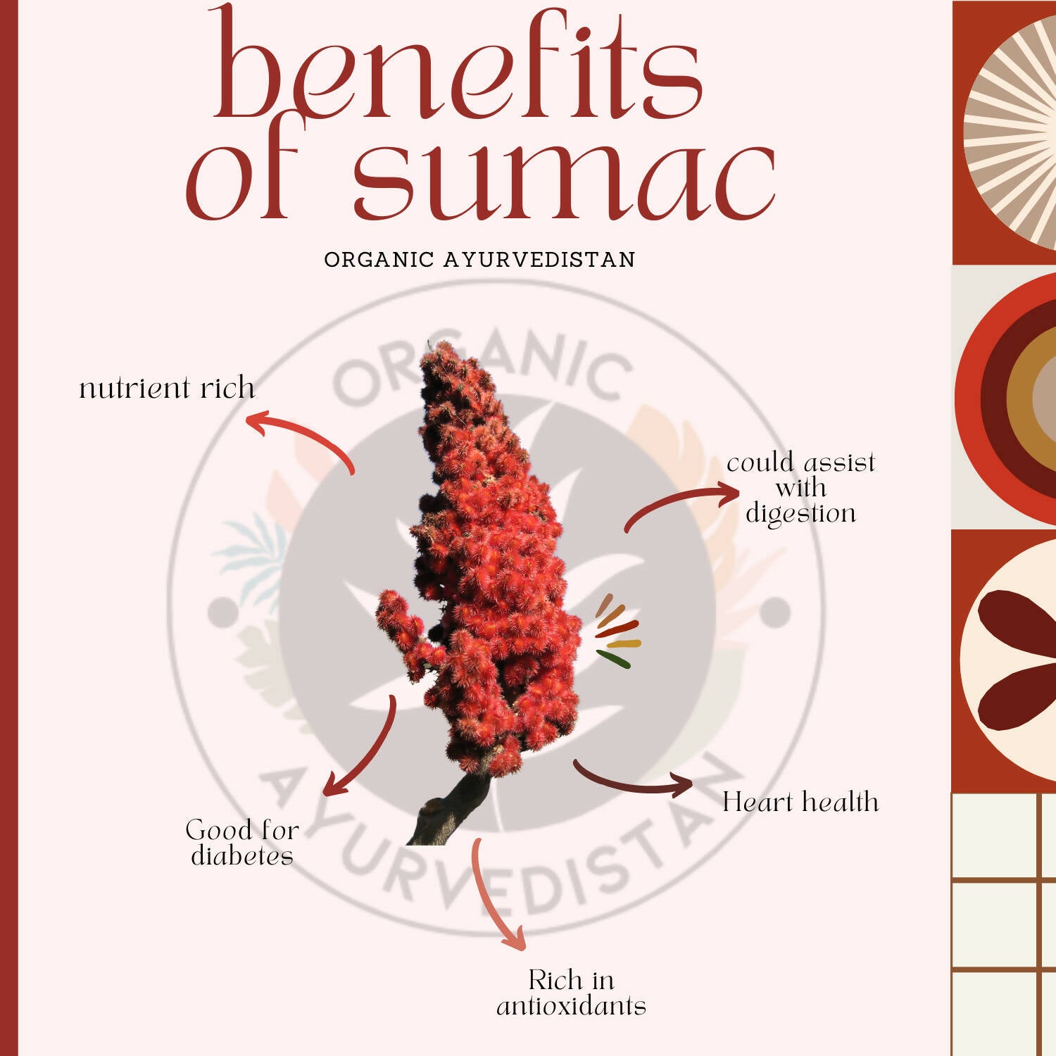 Organic Ayurvedistan Sumac Powder - Swadesiicart