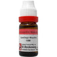 Dr. Reckeweg Ustilago Maydis Dilution | Swadesiicart