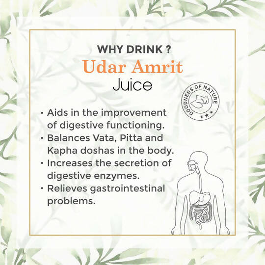 Four Seasons Udar Amrit Juice - Swadesiicart