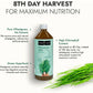 Kapiva Ayurveda Wheat Grass Juice - Swadesiicart