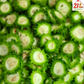 21Pickles Bitter Gaurd Pickle - Swadesiicart