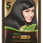 Nisha Henna Based Quick Hair Color Black - Swadesiicart